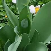 ヒメ日記 2026/03/17 17:16 投稿 斉藤恵 セレブショップ新宿（東京ハレ系）