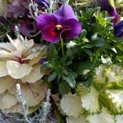 ヒメ日記 2026/03/18 07:16 投稿 斉藤恵 セレブショップ新宿（東京ハレ系）