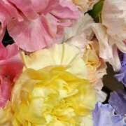 ヒメ日記 2026/03/18 17:31 投稿 斉藤恵 セレブショップ新宿（東京ハレ系）