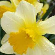 ヒメ日記 2026/03/20 12:45 投稿 斉藤恵 セレブショップ新宿（東京ハレ系）