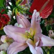 ヒメ日記 2026/03/21 06:00 投稿 斉藤恵 セレブショップ新宿（東京ハレ系）