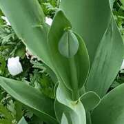 ヒメ日記 2026/03/22 06:00 投稿 斉藤恵 セレブショップ新宿（東京ハレ系）