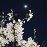 ヒメ日記 2026/03/24 20:03 投稿 斉藤恵 セレブショップ新宿（東京ハレ系）