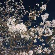 ヒメ日記 2026/03/24 23:56 投稿 斉藤恵 セレブショップ新宿（東京ハレ系）