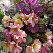 ヒメ日記 2026/03/25 07:16 投稿 斉藤恵 セレブショップ新宿（東京ハレ系）