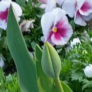 ヒメ日記 2026/03/27 06:12 投稿 斉藤恵 セレブショップ新宿（東京ハレ系）