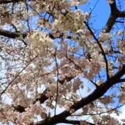 ヒメ日記 2026/03/27 11:30 投稿 斉藤恵 セレブショップ新宿（東京ハレ系）