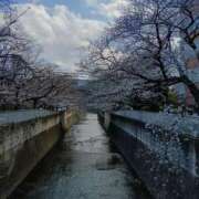 ヒメ日記 2026/03/30 06:00 投稿 斉藤恵 セレブショップ新宿（東京ハレ系）