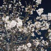 ヒメ日記 2026/03/30 22:42 投稿 斉藤恵 セレブショップ新宿（東京ハレ系）