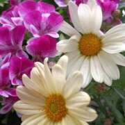 ヒメ日記 2026/04/01 07:15 投稿 斉藤恵 セレブショップ新宿（東京ハレ系）