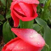 ヒメ日記 2026/04/01 16:30 投稿 斉藤恵 セレブショップ新宿（東京ハレ系）