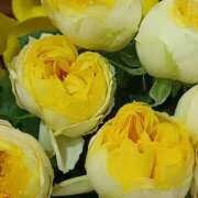 ヒメ日記 2026/04/05 03:51 投稿 斉藤恵 セレブショップ新宿（東京ハレ系）