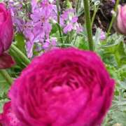 ヒメ日記 2026/04/05 07:15 投稿 斉藤恵 セレブショップ新宿（東京ハレ系）