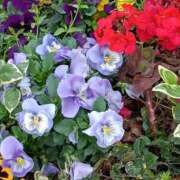 ヒメ日記 2026/04/05 16:45 投稿 斉藤恵 セレブショップ新宿（東京ハレ系）