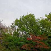 ヒメ日記 2026/04/08 06:01 投稿 斉藤恵 セレブショップ新宿（東京ハレ系）