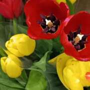 ヒメ日記 2026/04/08 17:45 投稿 斉藤恵 セレブショップ新宿（東京ハレ系）