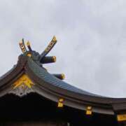 ヒメ日記 2026/04/09 19:16 投稿 斉藤恵 セレブショップ新宿（東京ハレ系）