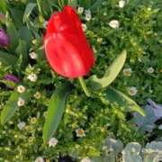 ヒメ日記 2026/04/12 07:15 投稿 斉藤恵 セレブショップ新宿（東京ハレ系）