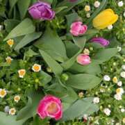 ヒメ日記 2026/04/14 06:01 投稿 斉藤恵 セレブショップ新宿（東京ハレ系）