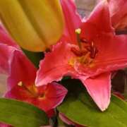 ヒメ日記 2026/04/14 10:30 投稿 斉藤恵 セレブショップ新宿（東京ハレ系）