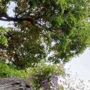 ヒメ日記 2026/04/15 06:00 投稿 斉藤恵 セレブショップ新宿（東京ハレ系）