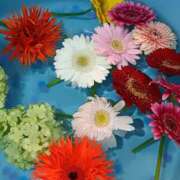 ヒメ日記 2026/04/15 07:15 投稿 斉藤恵 セレブショップ新宿（東京ハレ系）