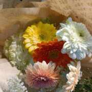 ヒメ日記 2026/04/15 17:40 投稿 斉藤恵 セレブショップ新宿（東京ハレ系）