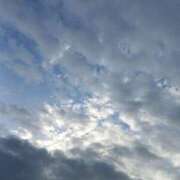 ヒメ日記 2026/04/16 11:23 投稿 斉藤恵 セレブショップ新宿（東京ハレ系）