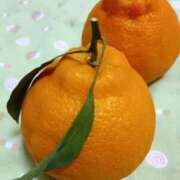 ヒメ日記 2026/04/18 06:01 投稿 斉藤恵 セレブショップ新宿（東京ハレ系）