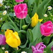 ヒメ日記 2026/04/18 10:31 投稿 斉藤恵 セレブショップ新宿（東京ハレ系）