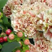 ヒメ日記 2026/04/19 19:05 投稿 斉藤恵 セレブショップ新宿（東京ハレ系）