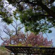 斉藤恵 おはようございます セレブショップ新宿（東京ハレ系）