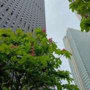 斉藤恵 こんにちは セレブショップ新宿（東京ハレ系）