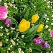 ヒメ日記 2026/04/24 06:00 投稿 斉藤恵 セレブショップ新宿（東京ハレ系）