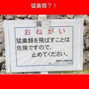 ヒメ日記 2023/11/02 07:29 投稿 このは 熟女の風俗最終章 立川店