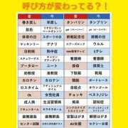 ヒメ日記 2025/02/27 06:23 投稿 このは 熟女の風俗最終章 立川店
