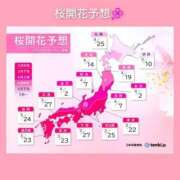 ヒメ日記 2025/03/13 06:23 投稿 このは 熟女の風俗最終章 立川店