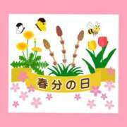 ヒメ日記 2025/03/20 06:23 投稿 このは 熟女の風俗最終章 立川店