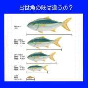 ヒメ日記 2025/03/30 06:43 投稿 このは 熟女の風俗最終章 立川店