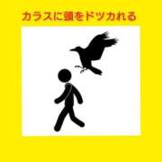 ヒメ日記 2026/02/06 06:13 投稿 このは 熟女の風俗最終章 立川店