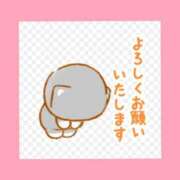 ヒメ日記 2026/04/02 06:23 投稿 このは 熟女の風俗最終章 立川店