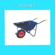 ヒメ日記 2026/09/25 06:23 投稿 このは 熟女の風俗最終章 立川店