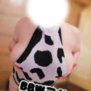 ヒメ日記 2026/02/21 00:09 投稿 三井 BBW（ビッグビューティフルウーマン）