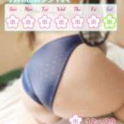 ヒメ日記 2026/03/29 22:47 投稿 三井 BBW（ビッグビューティフルウーマン）