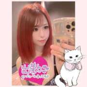 ヒメ日記 2025/07/01 07:35 投稿 めと アラカルト