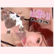 ヒメ日記 2025/07/12 10:59 投稿 めと アラカルト