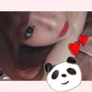 ヒメ日記 2025/11/09 08:35 投稿 めと アラカルト