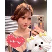 ヒメ日記 2026/04/12 11:33 投稿 めと アラカルト