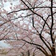 ヒメ日記 2025/04/20 17:52 投稿 たまき スチュワーデス