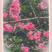 ヒメ日記 2025/02/05 11:28 投稿 果鈴(かりん) 人妻出逢い会 百合の園 山の手本店